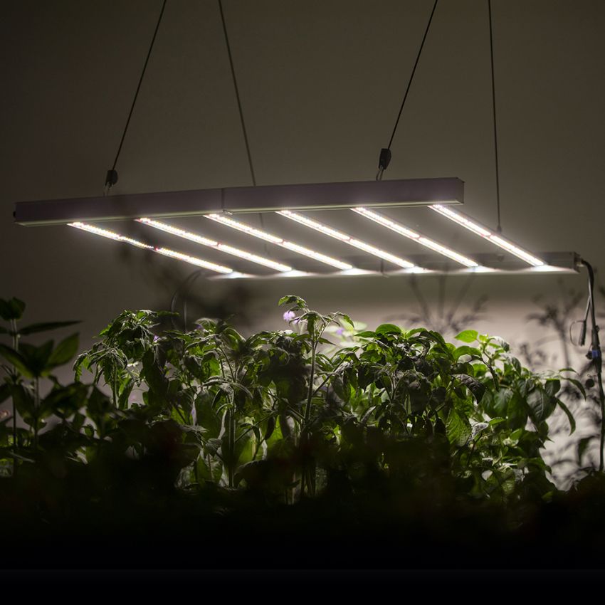 LED-armatur växthus 110x110 cm 480 W