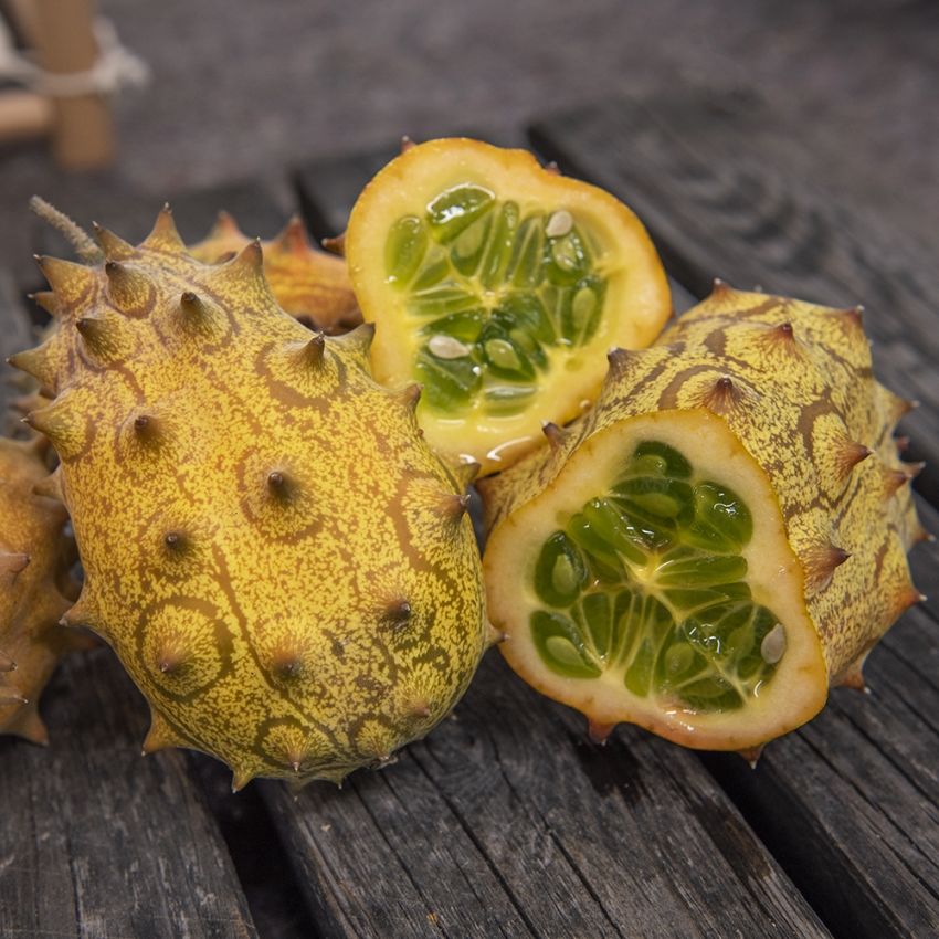 Kiwano