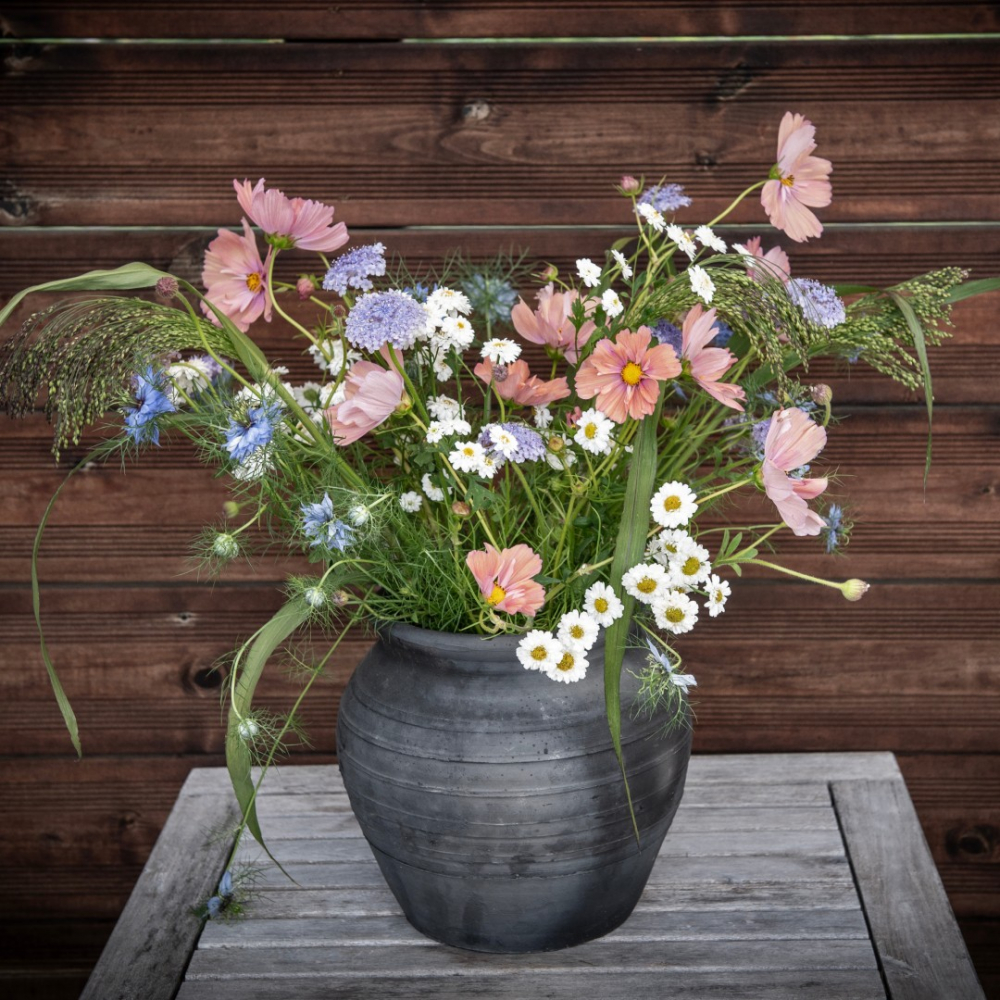 Fröpaket Snittblommor 'Rosa och blått'