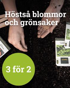 Höstsådd - 3 för 2 