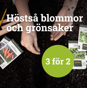 Höstsådd - 3 för 2