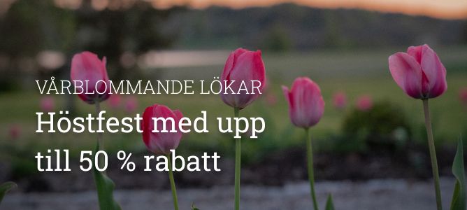 Vårblommande lök - upp till 50 %