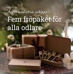 Årets medvetna julklapp – Fem fröpaket för alla odlare