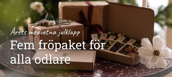 Årets medvetna julklapp – Fem fröpaket för alla odlare