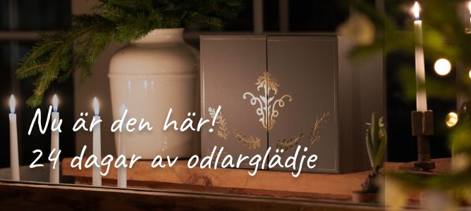 Adventskalender från Impecta!